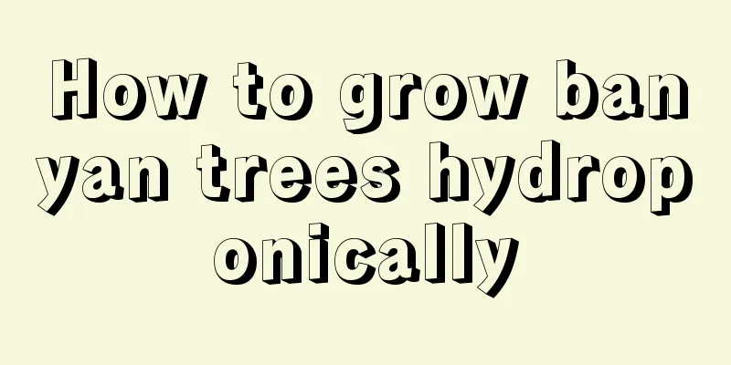 How to grow banyan trees hydroponically