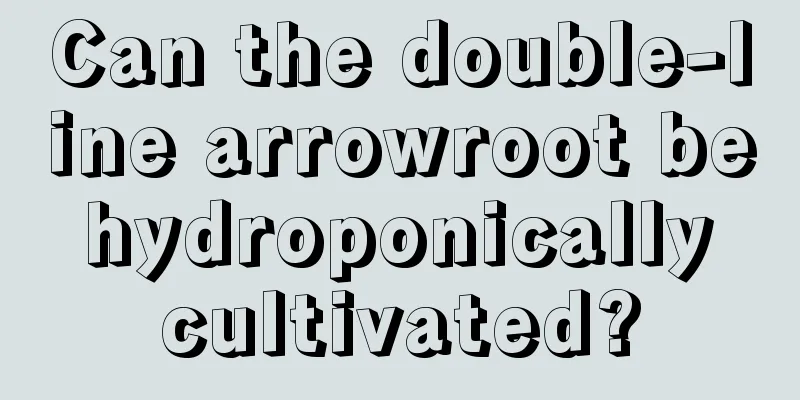 Can the double-line arrowroot be hydroponically cultivated?