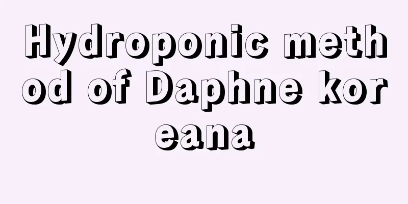 Hydroponic method of Daphne koreana