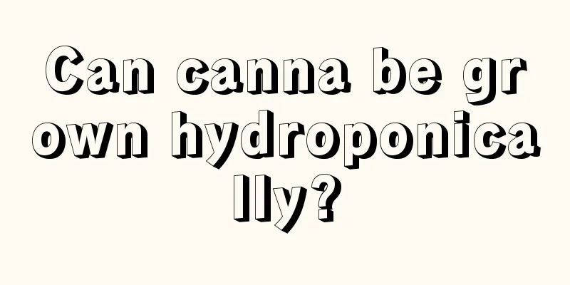 Can canna be grown hydroponically?