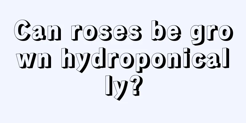 Can roses be grown hydroponically?