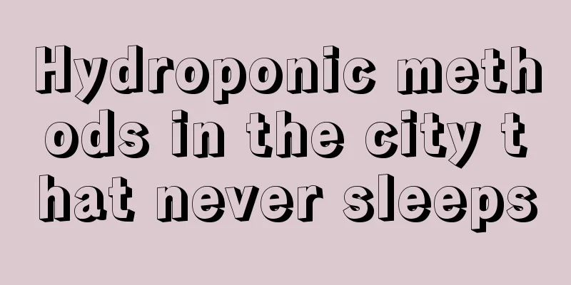 Hydroponic methods in the city that never sleeps