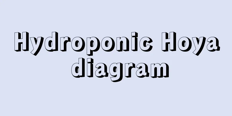 Hydroponic Hoya diagram