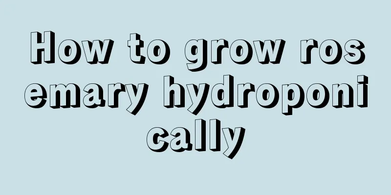 How to grow rosemary hydroponically