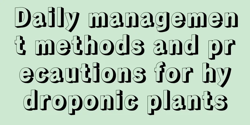 Daily management methods and precautions for hydroponic plants