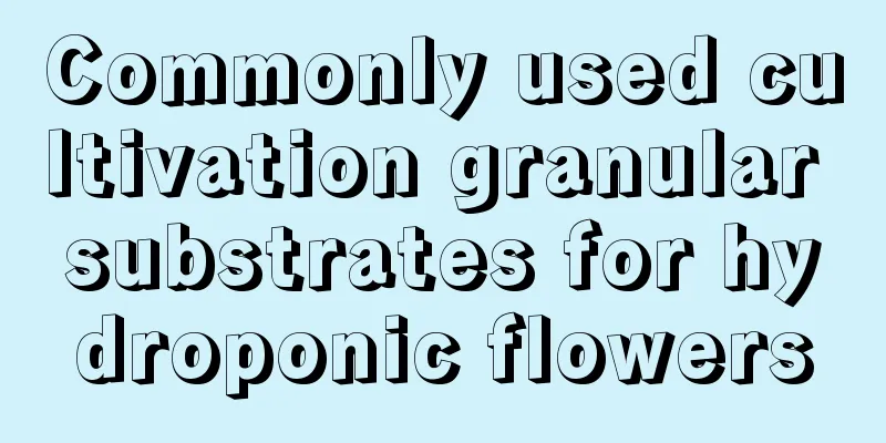 Commonly used cultivation granular substrates for hydroponic flowers