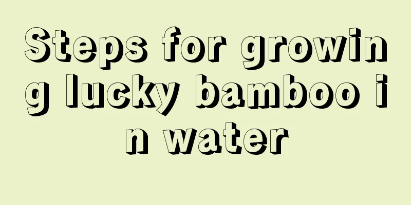 Steps for growing lucky bamboo in water