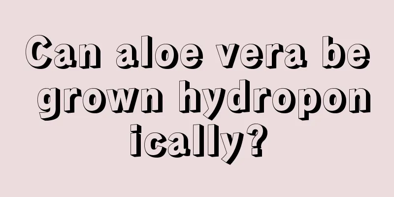 Can aloe vera be grown hydroponically?