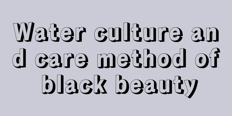 Water culture and care method of black beauty