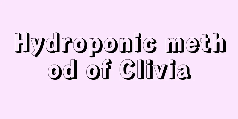 Hydroponic method of Clivia