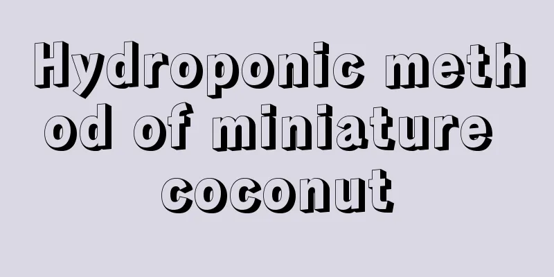 Hydroponic method of miniature coconut