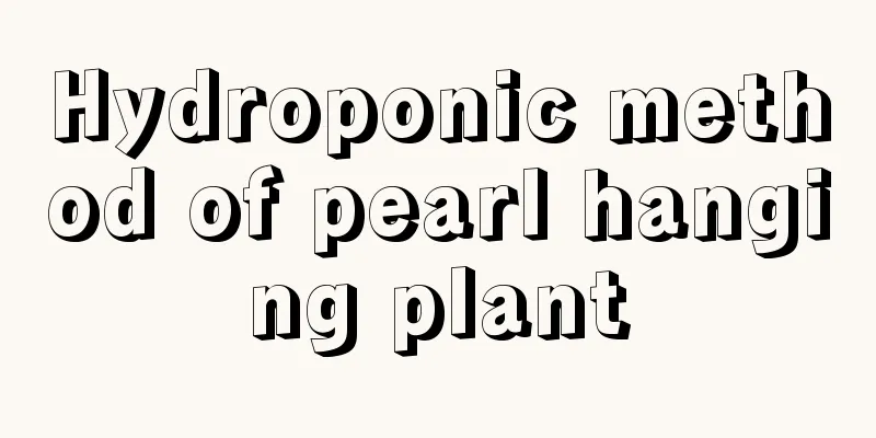 Hydroponic method of pearl hanging plant