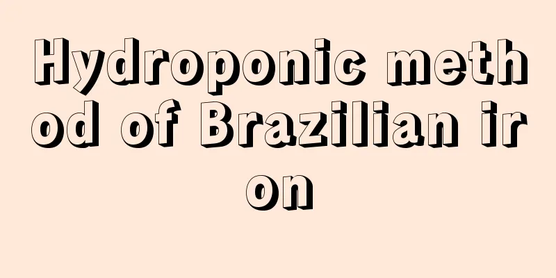 Hydroponic method of Brazilian iron