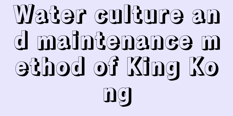 Water culture and maintenance method of King Kong