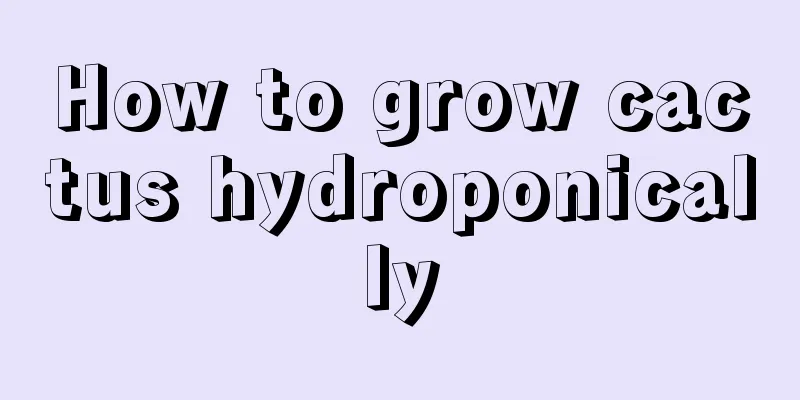 How to grow cactus hydroponically