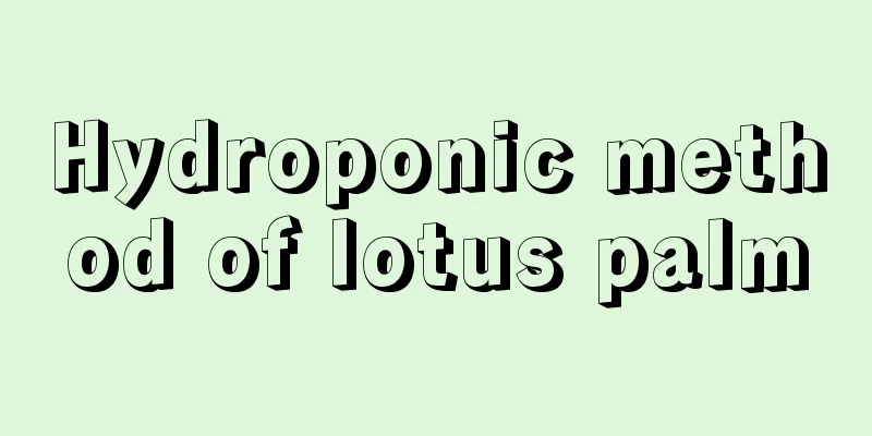 Hydroponic method of lotus palm