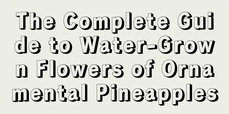 The Complete Guide to Water-Grown Flowers of Ornamental Pineapples