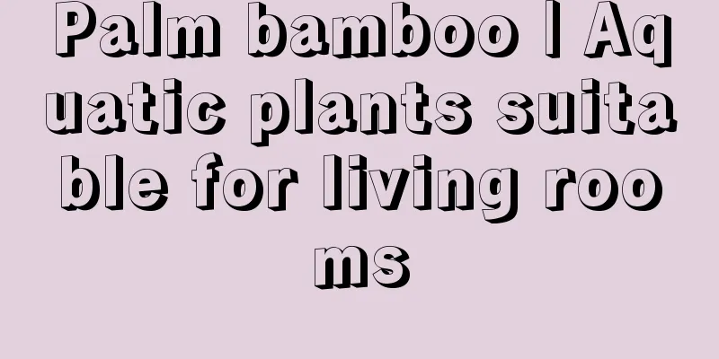 Palm bamboo | Aquatic plants suitable for living rooms