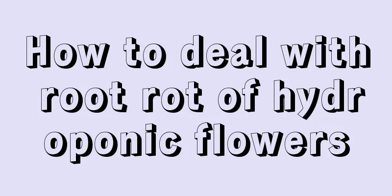 How to deal with root rot of hydroponic flowers