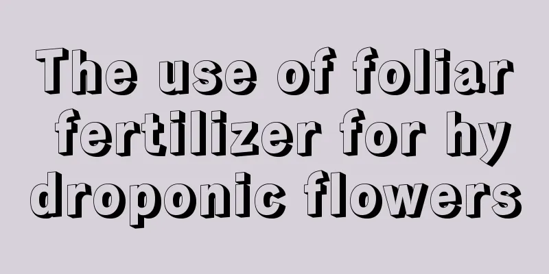 The use of foliar fertilizer for hydroponic flowers