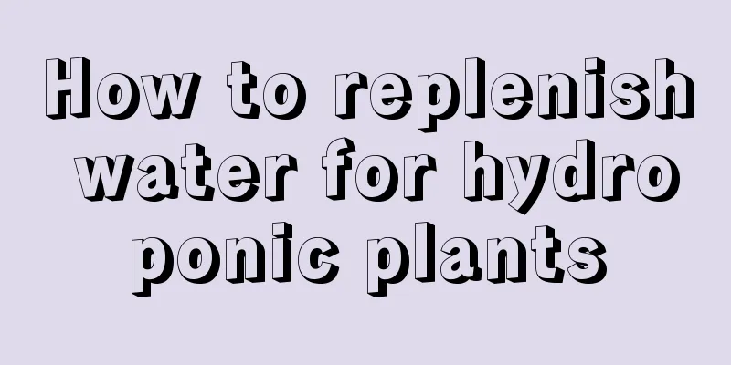 How to replenish water for hydroponic plants