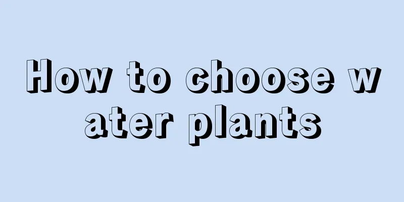 How to choose water plants