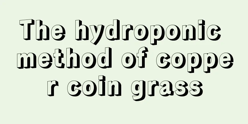 The hydroponic method of copper coin grass