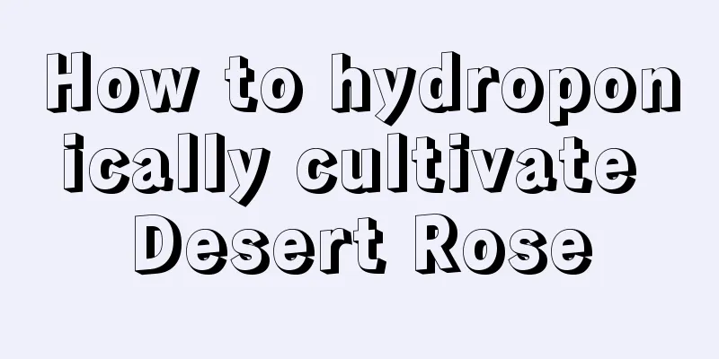 How to hydroponically cultivate Desert Rose