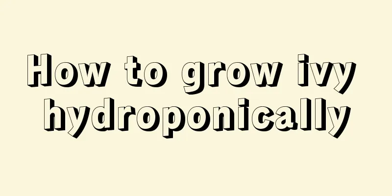 How to grow ivy hydroponically