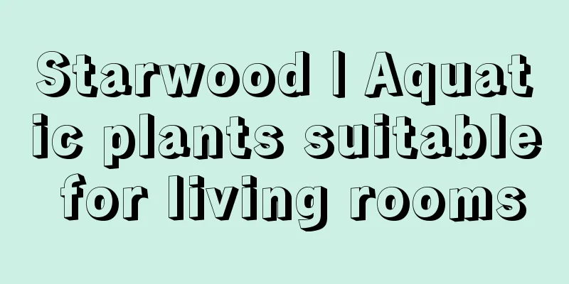 Starwood | Aquatic plants suitable for living rooms