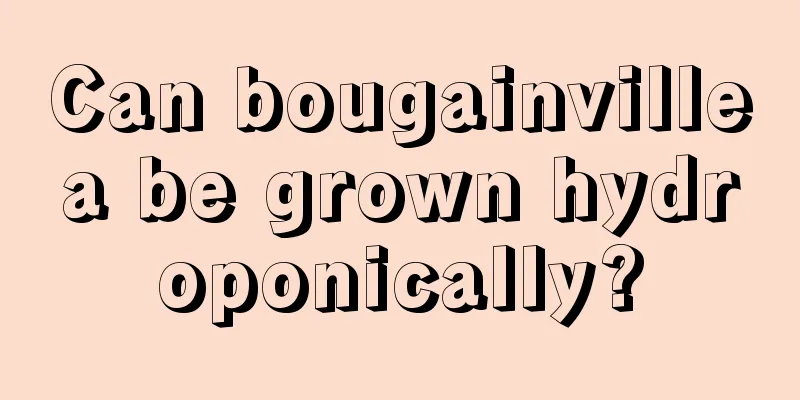 Can bougainvillea be grown hydroponically?