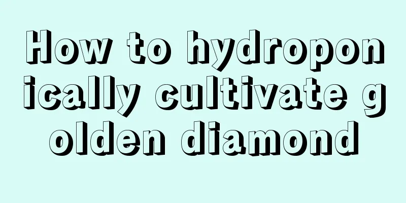 How to hydroponically cultivate golden diamond