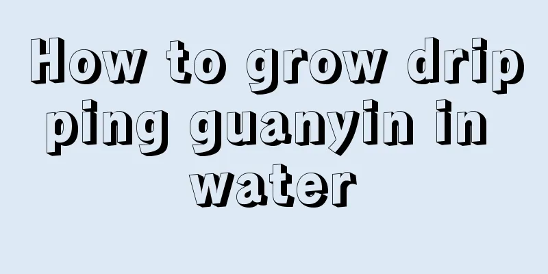 How to grow dripping guanyin in water