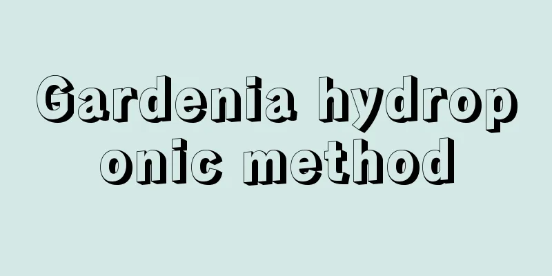 Gardenia hydroponic method