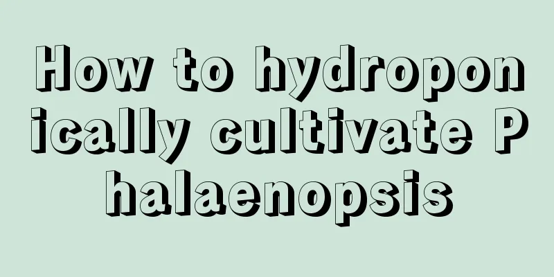 How to hydroponically cultivate Phalaenopsis