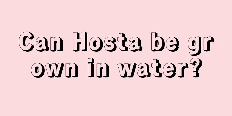 Can Hosta be grown in water?