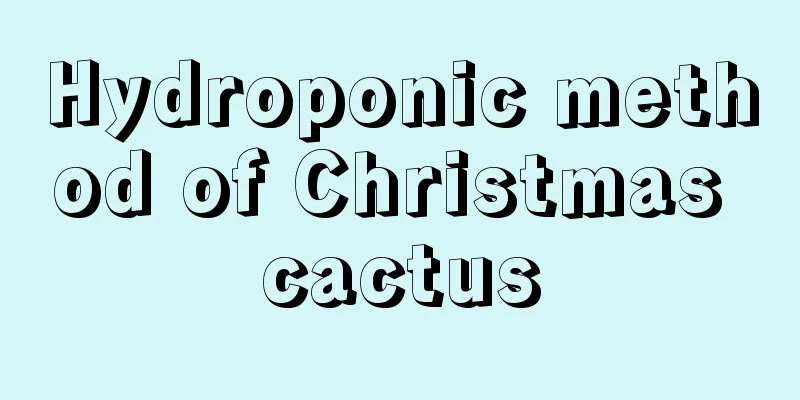 Hydroponic method of Christmas cactus