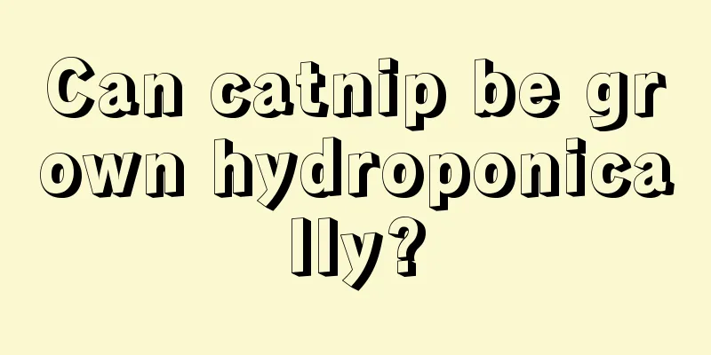 Can catnip be grown hydroponically?