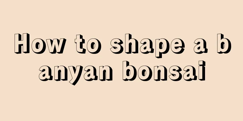 How to shape a banyan bonsai