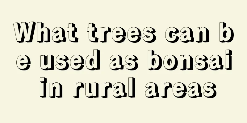 What trees can be used as bonsai in rural areas