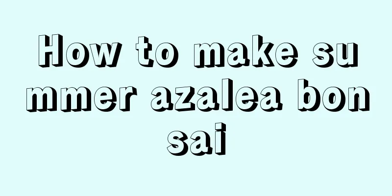 How to make summer azalea bonsai