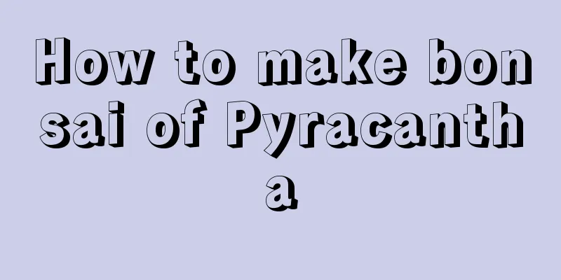 How to make bonsai of Pyracantha