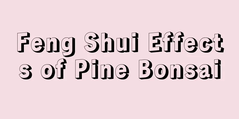 Feng Shui Effects of Pine Bonsai