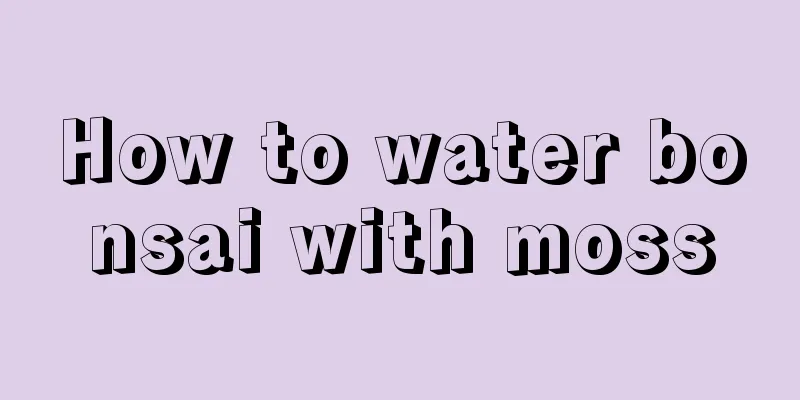 How to water bonsai with moss