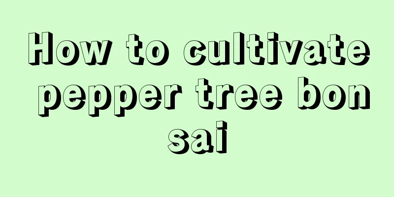 How to cultivate pepper tree bonsai