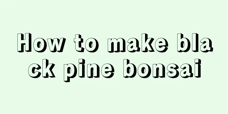 How to make black pine bonsai