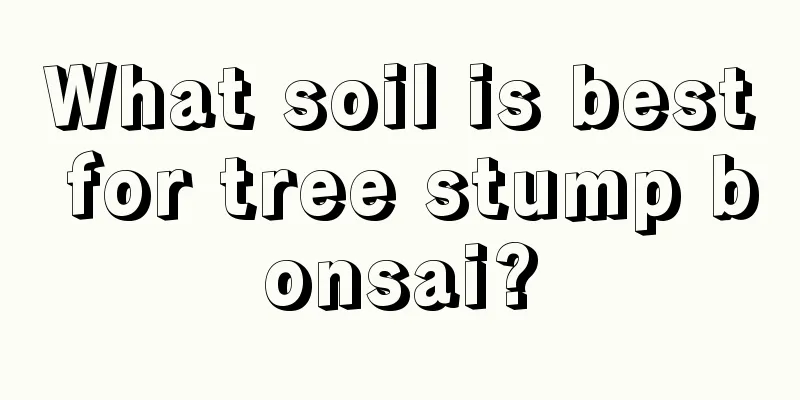 What soil is best for tree stump bonsai?