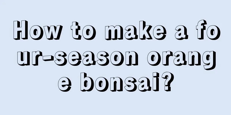 How to make a four-season orange bonsai?