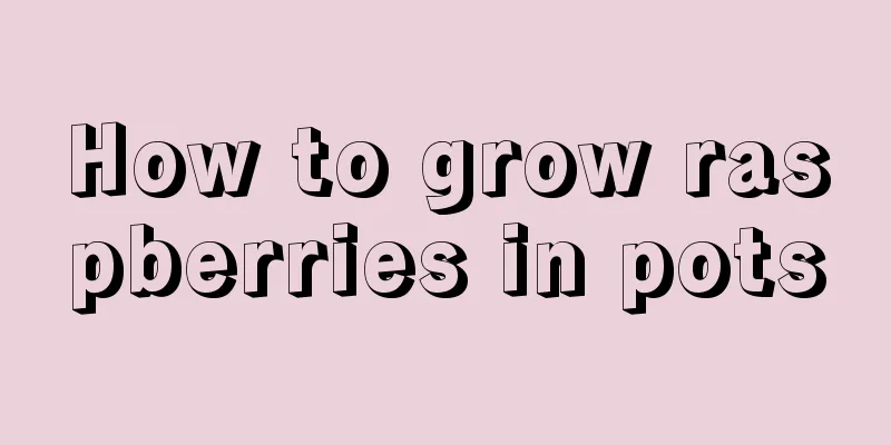 How to grow raspberries in pots