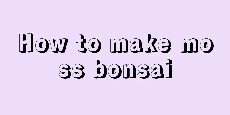 How to make moss bonsai